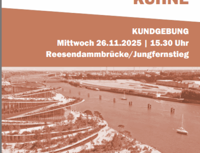 26.11.2025- 15.30 Uhr: Kundgebung